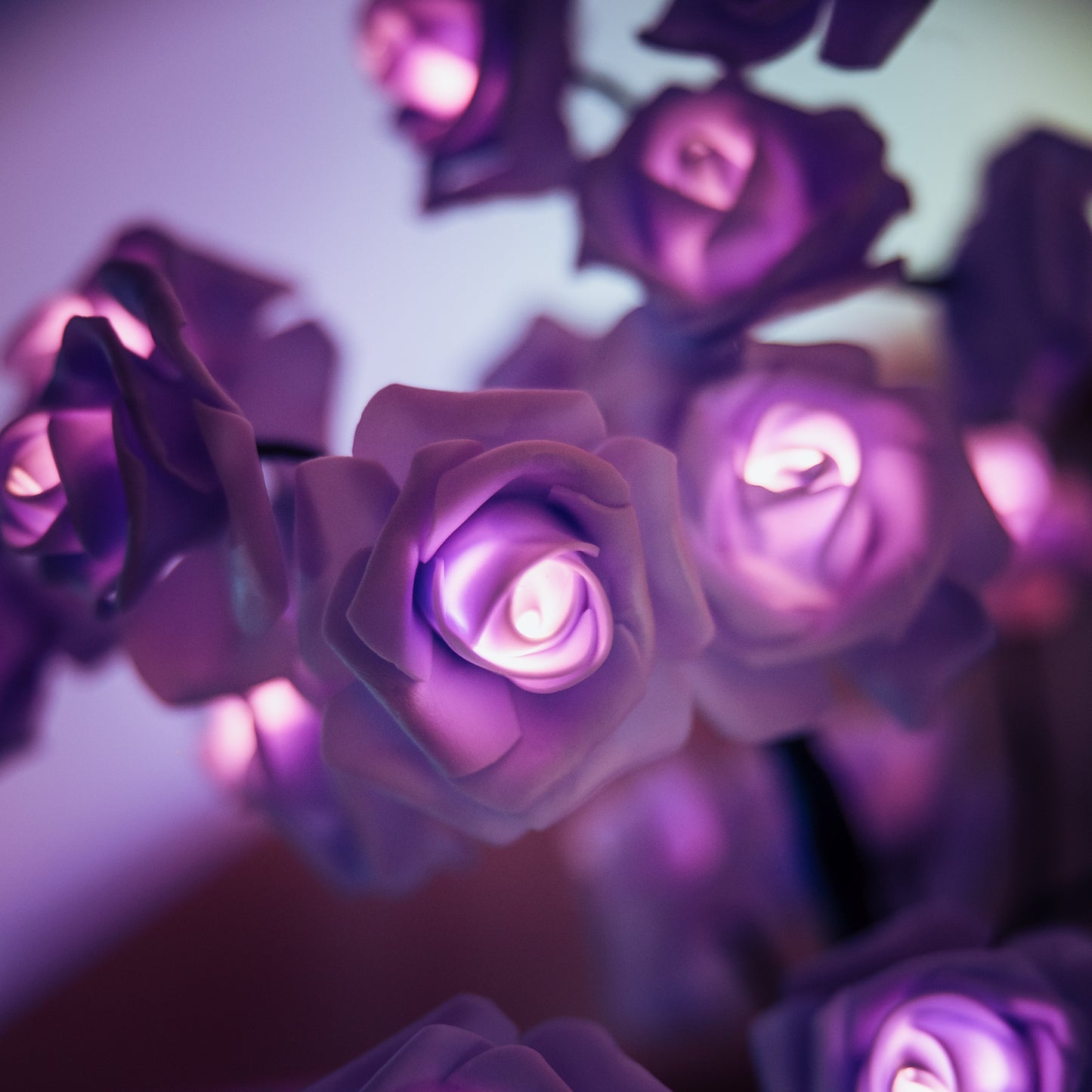 Rose-Petal-Lamp Joshua-Griffen-Photography