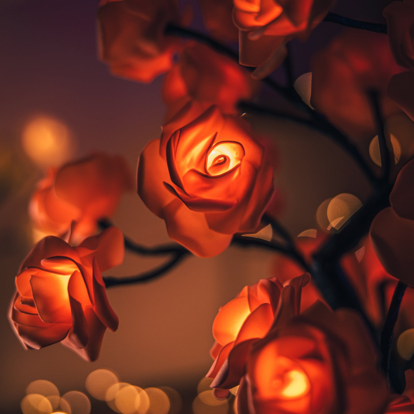 Rose-Petal-Lamp Joshua-Griffen-Photography