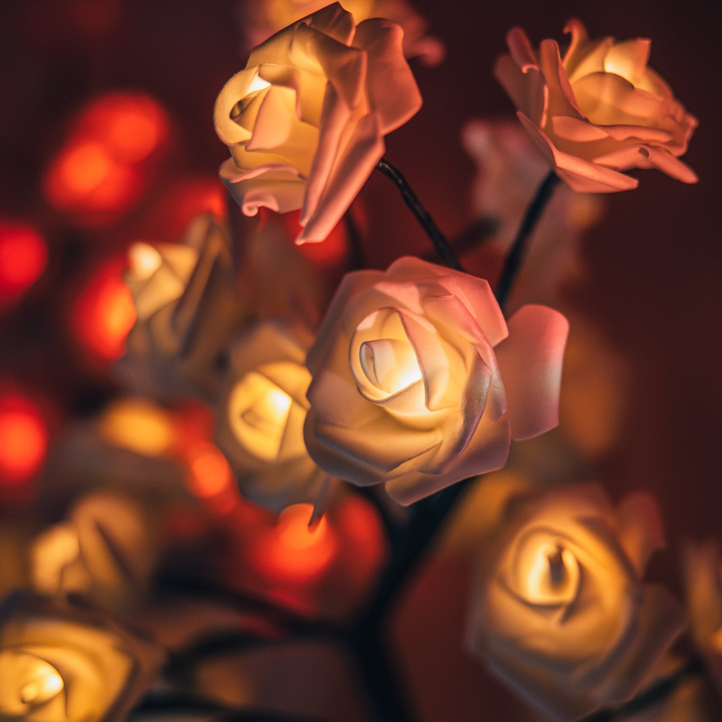 Rose-Petal-Lamp Joshua-Griffen-Photography