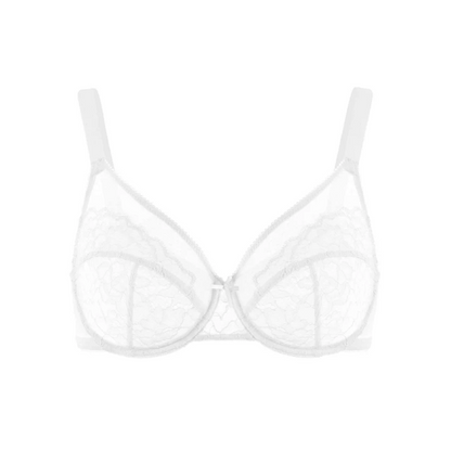 Lace Elegance Minimizer Bra Set