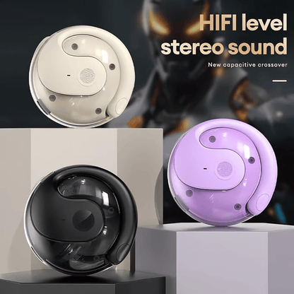 TranslateEase X200 Language Translator Earbuds